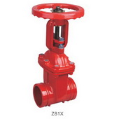 MX-Q015 RRGX���˷���DN:50-100��